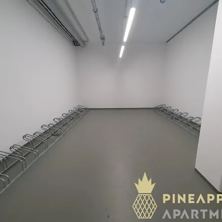 Pineapple Apartments Dresden Altstadt I - 117 Qm - 1X Free Parking Extérieur photo
